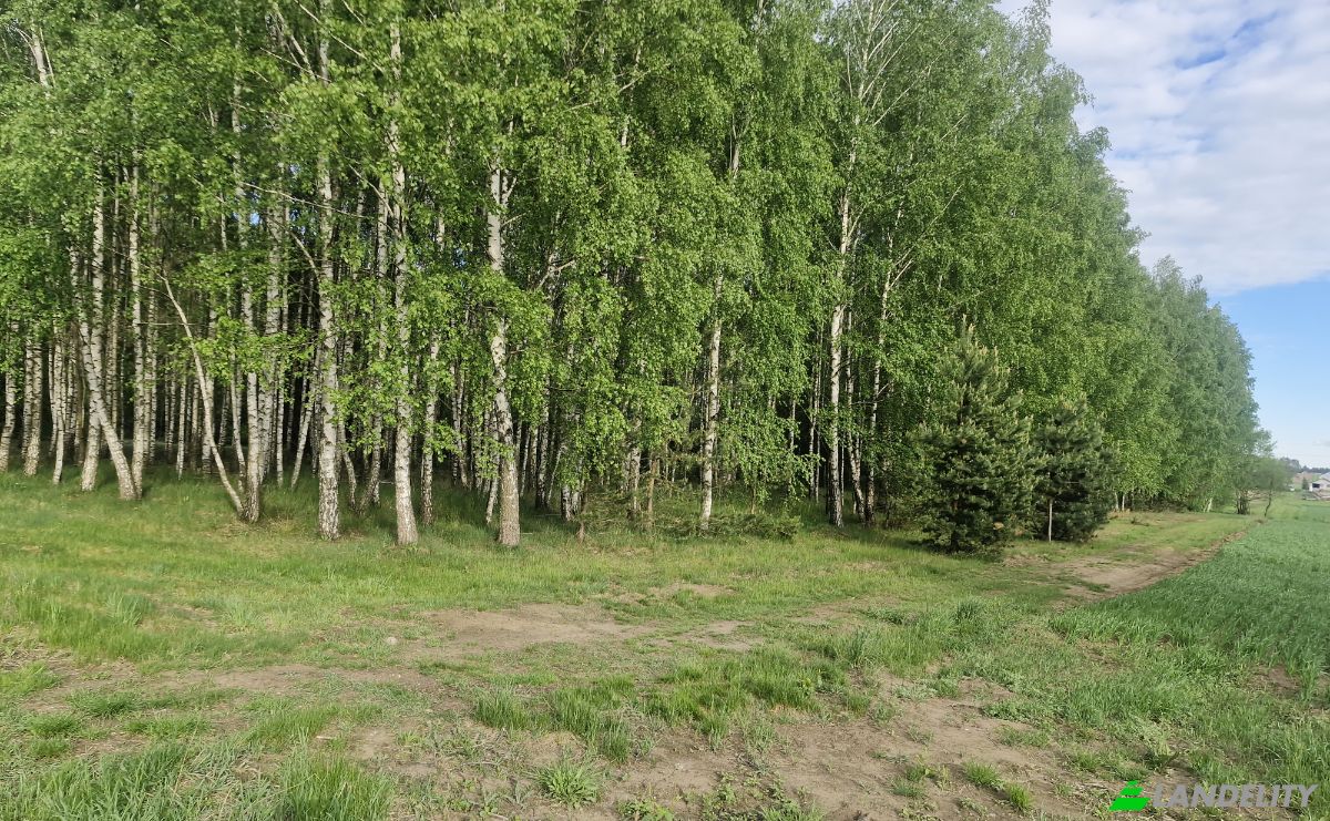 Land Lot for Sale Droga Bez Nazwy, 16-002 PogorzaLki, Rybaki, BiaLystok County, Podlaskie Voivodeship, Poland. Photo 5