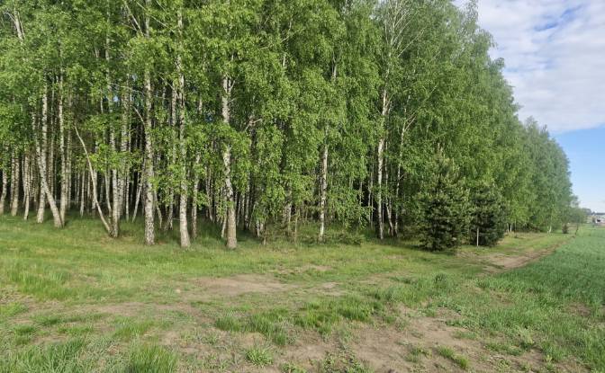Land Lot for Sale Droga Bez Nazwy. Photo#5 Land Lot for Sale Droga Bez Nazwy. Photo#5