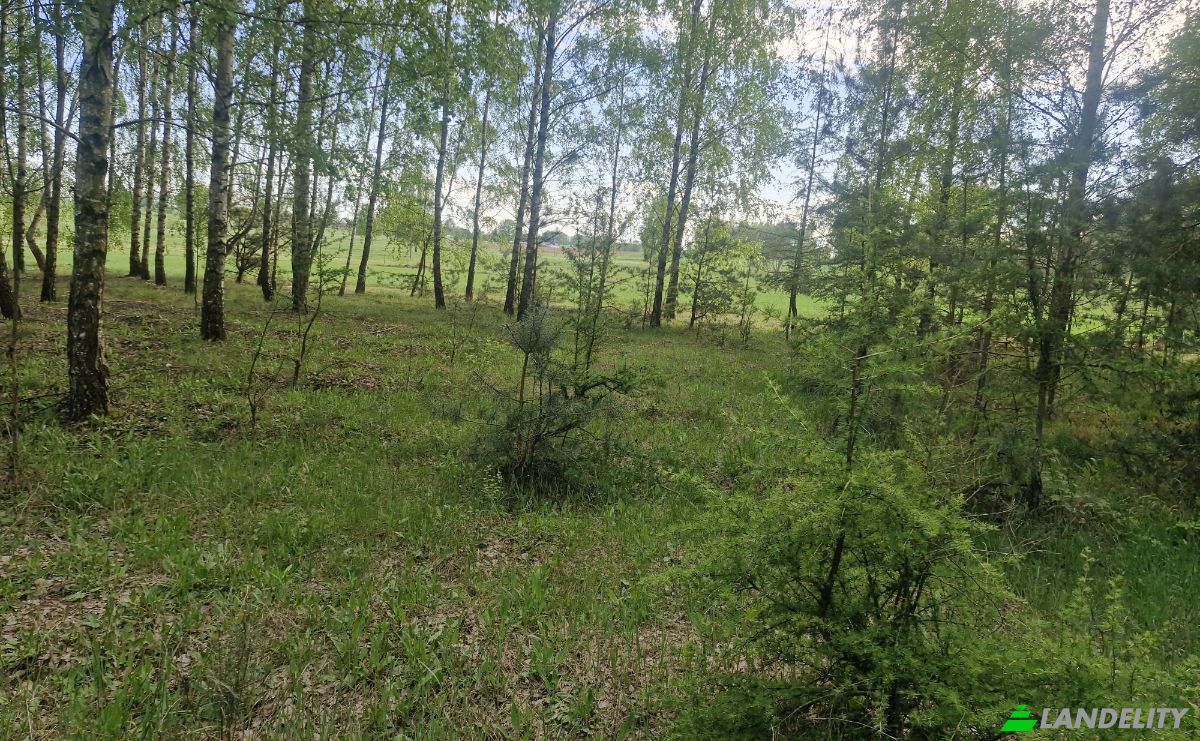 Land Lot for Sale Droga Bez Nazwy, 16-002 PogorzaLki, Rybaki, BiaLystok County, Podlaskie Voivodeship, Poland. Photo 6
