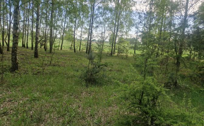 Land Lot for Sale Droga Bez Nazwy. Photo#6 Land Lot for Sale Droga Bez Nazwy. Photo#6