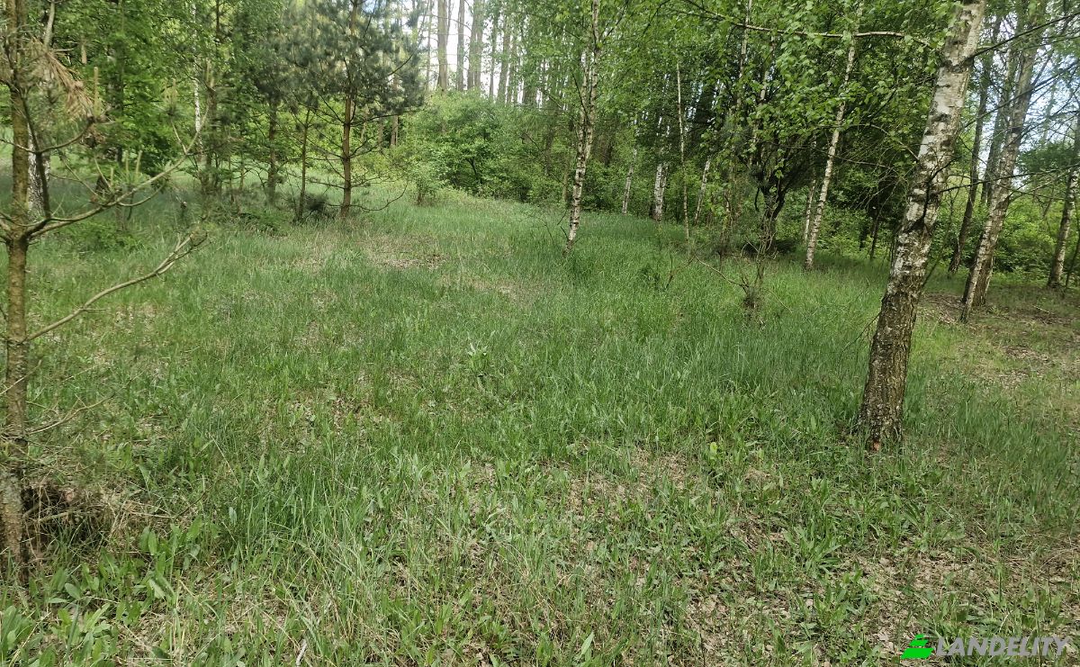 Land Lot for Sale Droga Bez Nazwy, 16-002 PogorzaLki, Rybaki, BiaLystok County, Podlaskie Voivodeship, Poland. Photo 7