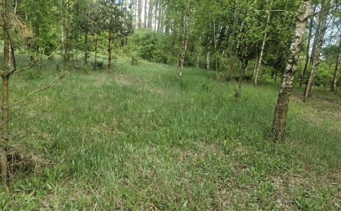 Land Lot for Sale Droga Bez Nazwy. Photo#7 Land Lot for Sale Droga Bez Nazwy. Photo#7