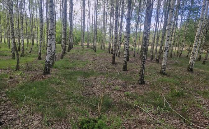 Land Lot for Sale Droga Bez Nazwy. Photo#8 Land Lot for Sale Droga Bez Nazwy. Photo#8