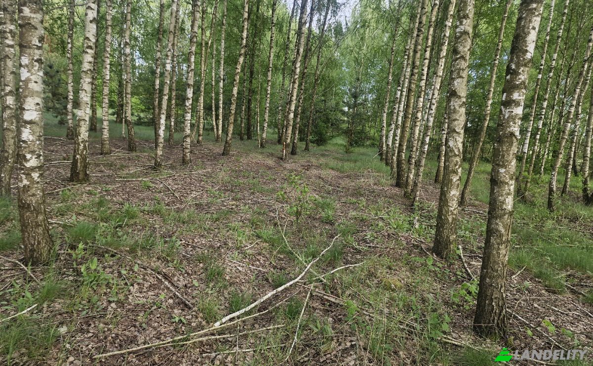 Land Lot for Sale Droga Bez Nazwy, 16-002 PogorzaLki, Rybaki, BiaLystok County, Podlaskie Voivodeship, Poland. Photo 9