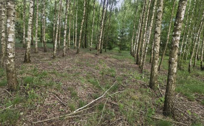 Land Lot for Sale Droga Bez Nazwy. Photo#9 Land Lot for Sale Droga Bez Nazwy. Photo#9