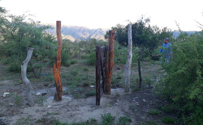 Chateau for Sale Ruta Sin Nombre. Photo#9