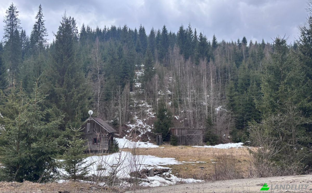 Land Lot for Sale Drum Fara Nume, Dorna Arini, Dorna-Arini, Suceava County, Romania. Photo 11