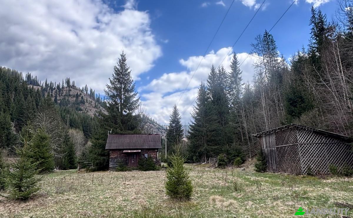 Land Lot for Sale Drum Fara Nume, Dorna Arini, Dorna-Arini, Suceava County, Romania. Photo 2