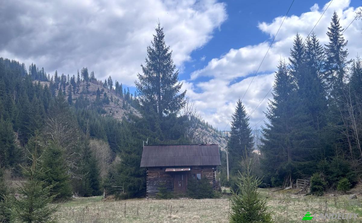 Land Lot for Sale Drum Fara Nume, Dorna Arini, Dorna-Arini, Suceava County, Romania. Photo 3