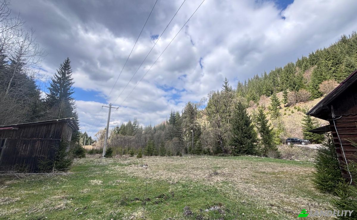 Land Lot for Sale Drum Fara Nume, Dorna Arini, Dorna-Arini, Suceava County, Romania. Photo 4