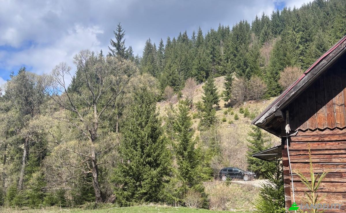 Land Lot for Sale Drum Fara Nume, Dorna Arini, Dorna-Arini, Suceava County, Romania. Photo 5