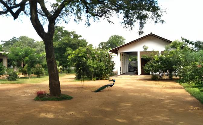 Inn/Lodge for Sale Moragaswewa, Polonnaruwa. Photo#2