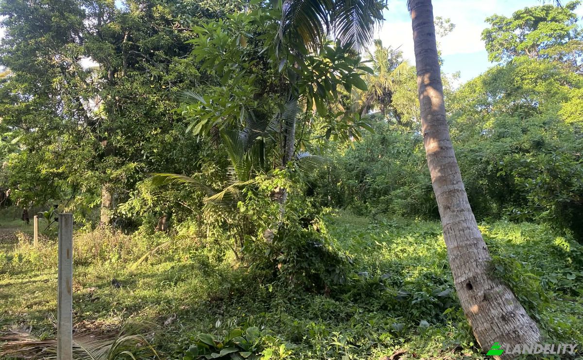 Land Lot for Sale Ahangama, Galle, Southern Province, Sri Lanka. Photo 2