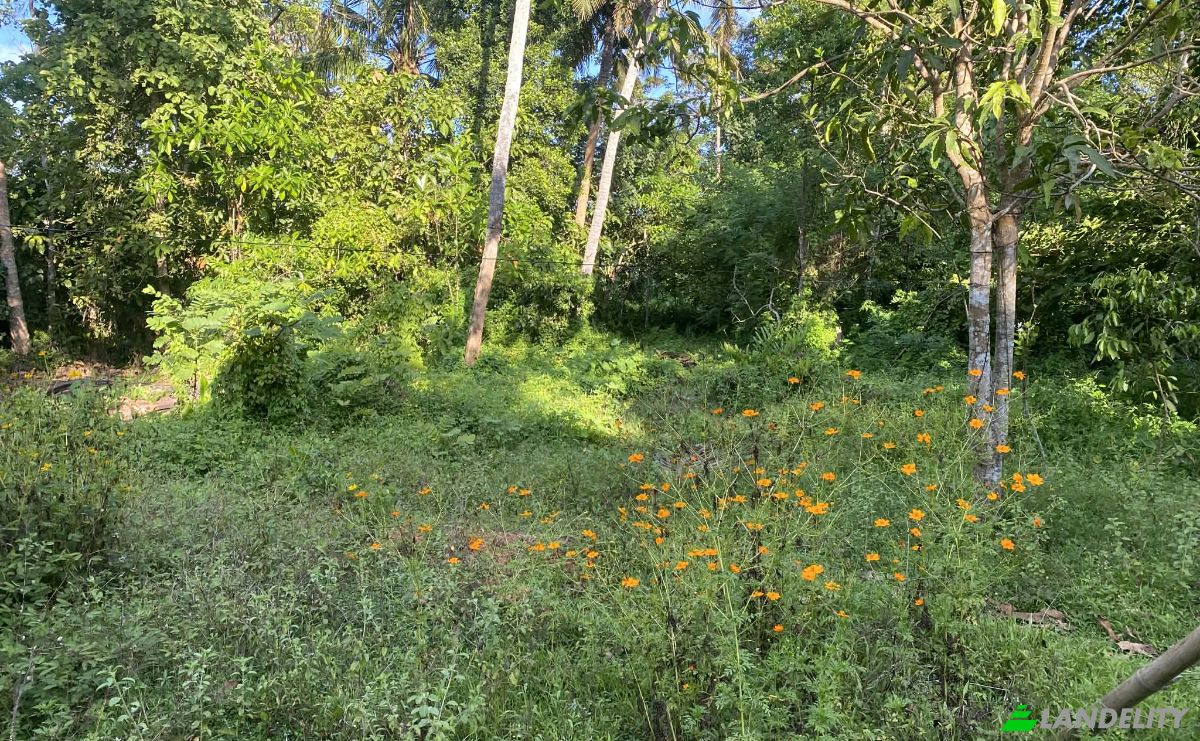 Land Lot for Sale Ahangama, Galle, Southern Province, Sri Lanka. Photo 3