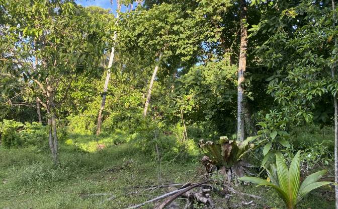 Land Lot for Sale Ahangama, Galle. Photo#4