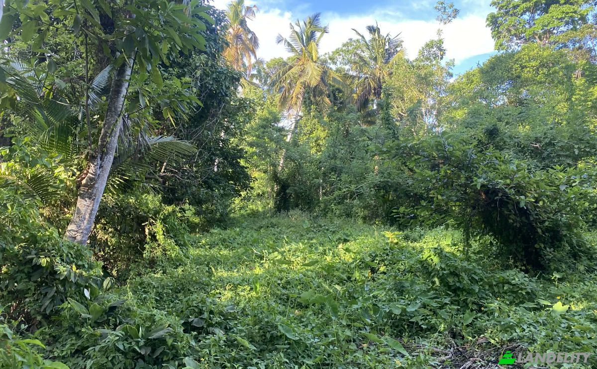 Land Lot for Sale Ahangama, Galle, Southern Province, Sri Lanka. Photo 5