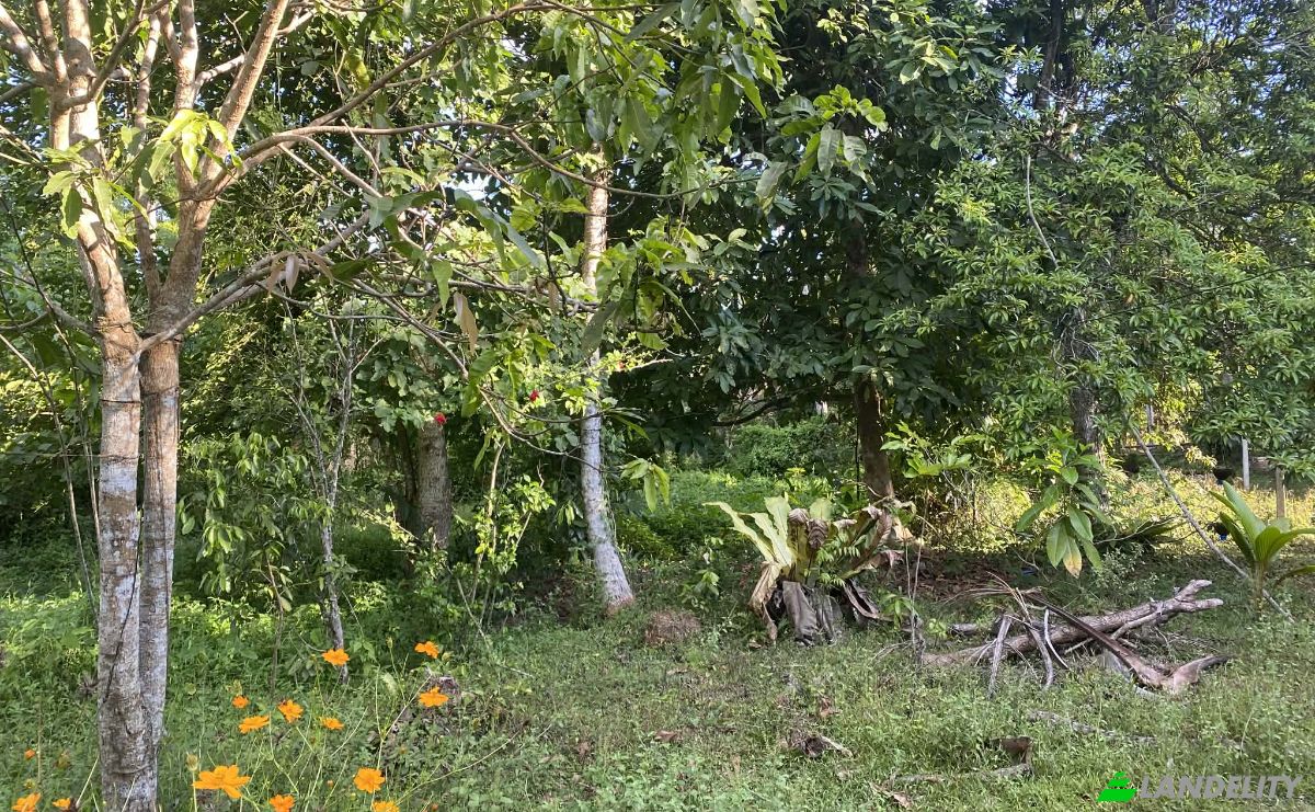 Land Lot for Sale Ahangama, Galle, Southern Province, Sri Lanka. Photo 6