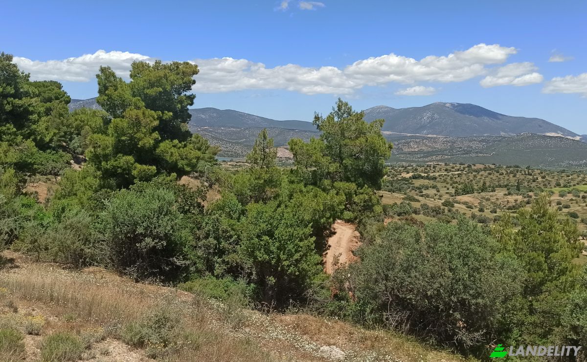Land Lot for Sale Ermionida 213 00, Kranidi, Peloponnese Region, Decentralized Administration of Peloponnese, Western Greece and the Ionian, Greece. Photo 2