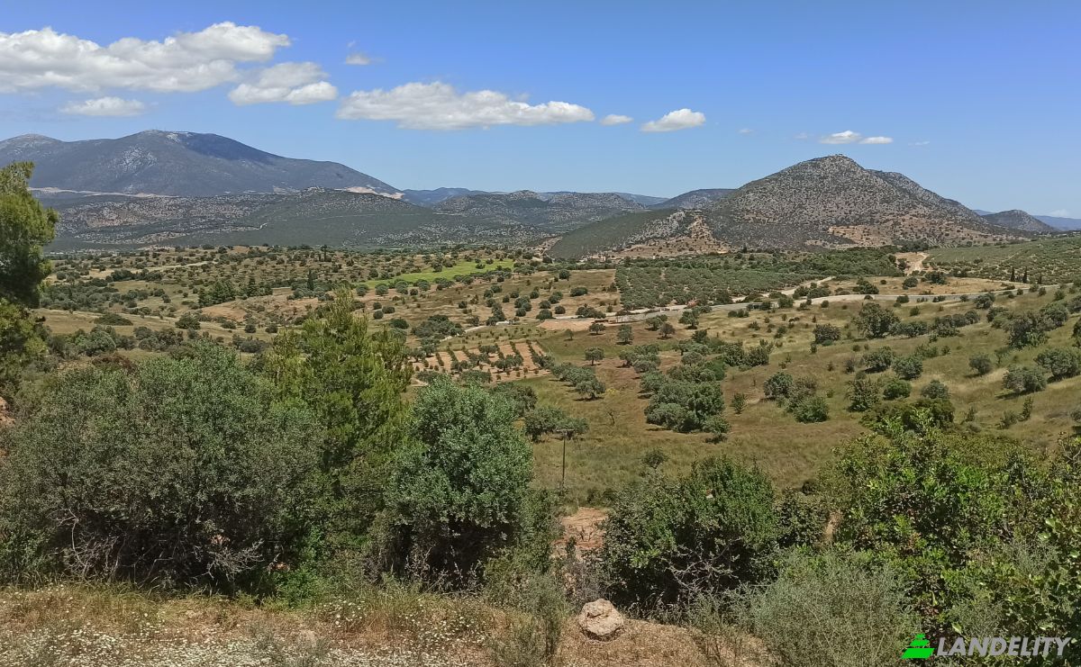 Land Lot for Sale Ermionida 213 00, Kranidi, Peloponnese Region, Decentralized Administration of Peloponnese, Western Greece and the Ionian, Greece. Photo 3