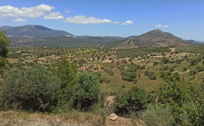 Land Lot for Sale Ermionida 213 00, Kranidi. Photo#3 Land Lot for Sale Ermionida 213 00, Kranidi. Photo#3