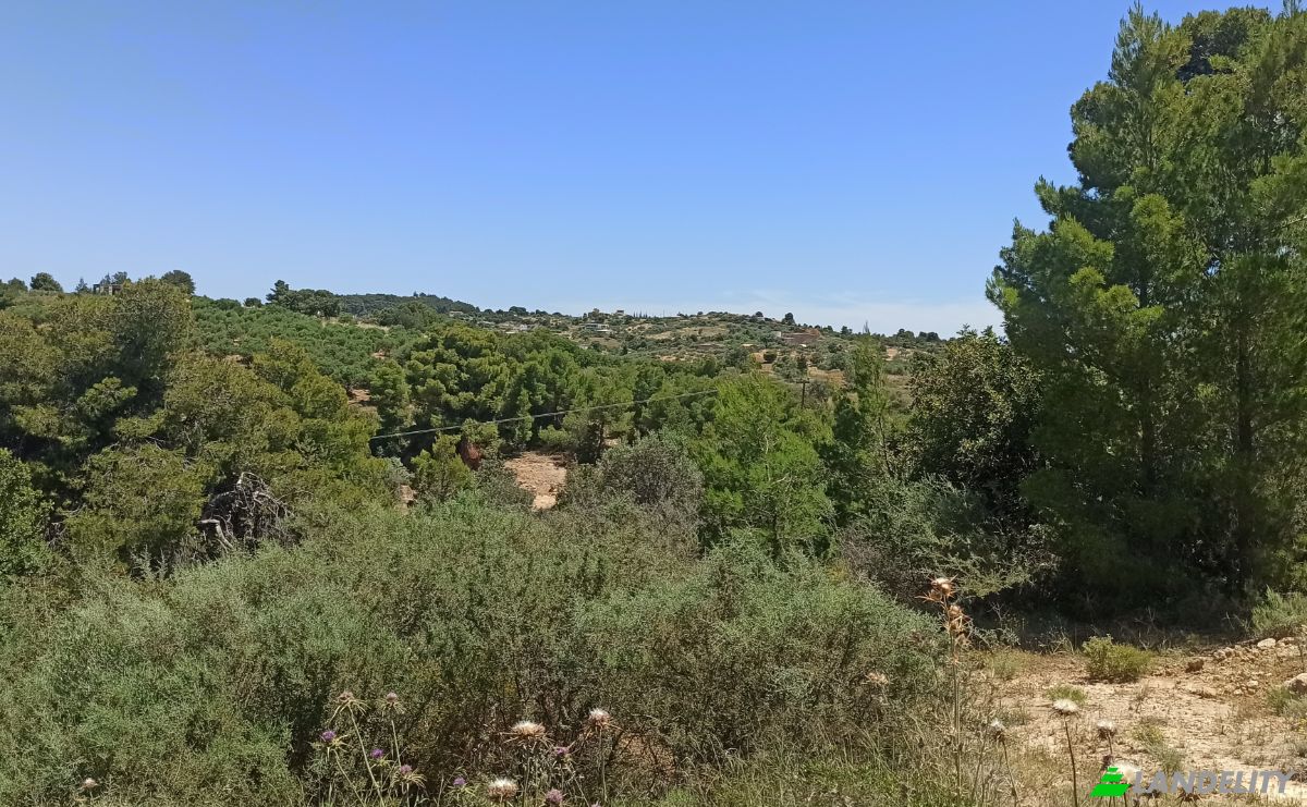 Land Lot for Sale Ermionida 213 00, Kranidi, Peloponnese Region, Decentralized Administration of Peloponnese, Western Greece and the Ionian, Greece. Photo 4