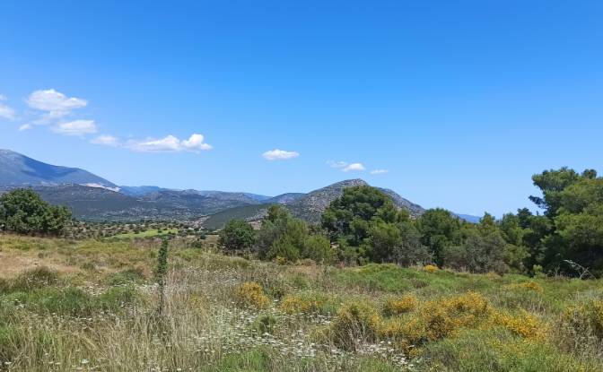 Land Lot for Sale Ermionida 213 00, Kranidi. Photo#5 Land Lot for Sale Ermionida 213 00, Kranidi. Photo#5