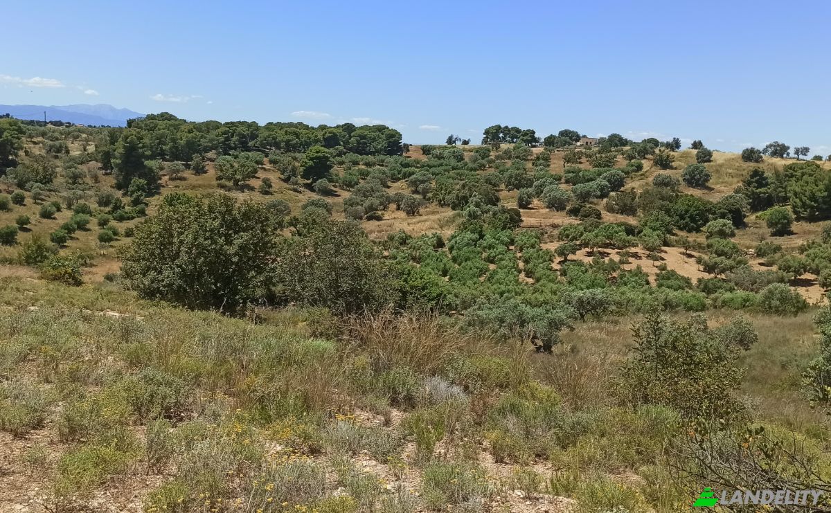 Land Lot for Sale Ermionida 213 00, Kranidi, Peloponnese Region, Decentralized Administration of Peloponnese, Western Greece and the Ionian, Greece. Photo 6