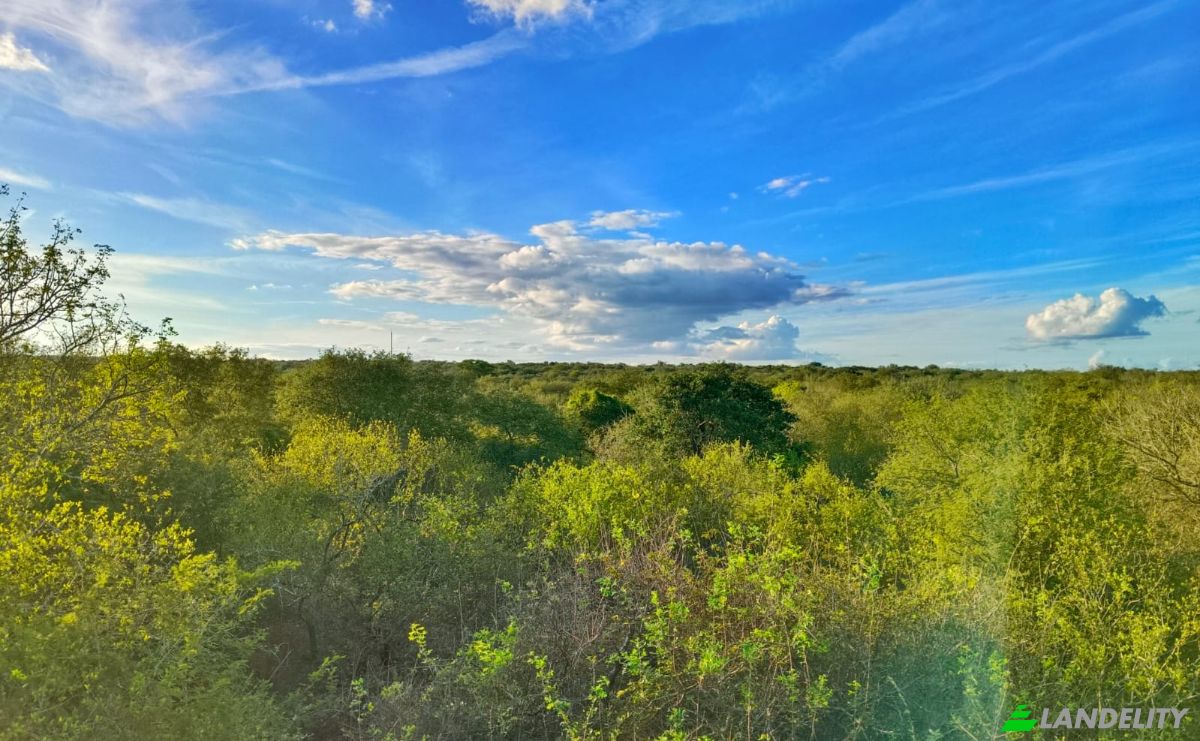 Cabin/Cottage for Sale 4100 Gemsbok Ave, Marloth Park, Ehlanzeni District Municipality, Mpumalanga, South Africa. Photo 15