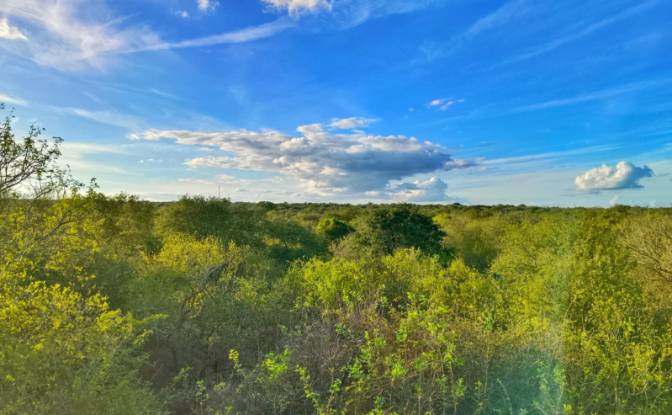 Cabin/Cottage for Sale 4100 Gemsbok Ave. Photo#15