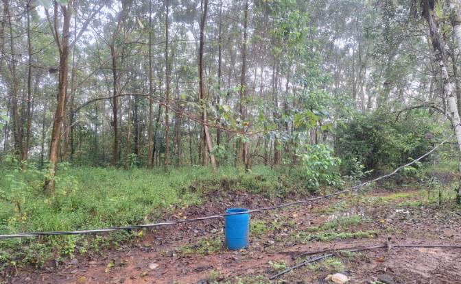 Investing/Development for Sale Pocosol. Photo#4 Investing/Development for Sale Pocosol. Photo#4