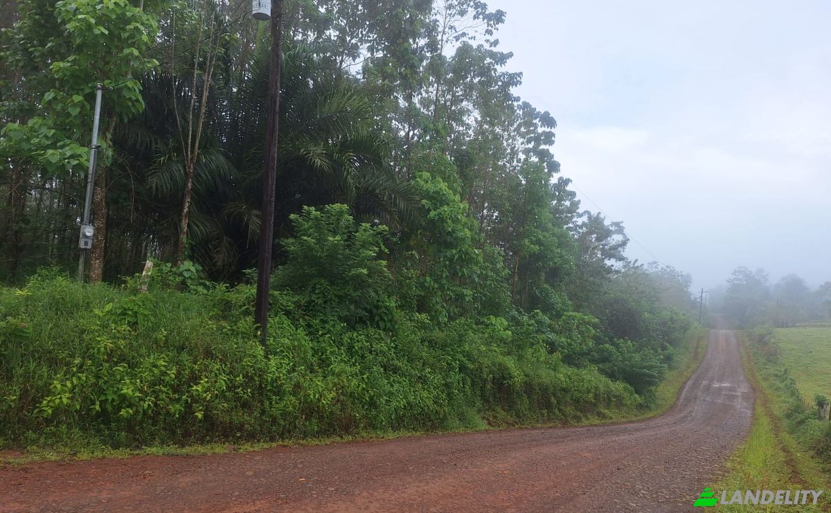 Investing/Development for Sale Pocosol, Provincia de Alajuela, San Carlos, Alajuela Province, Costa Rica. Photo 7