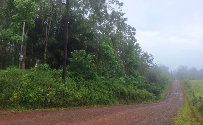 Investing/Development for Sale Pocosol. Photo#7 Investing/Development for Sale Pocosol. Photo#7
