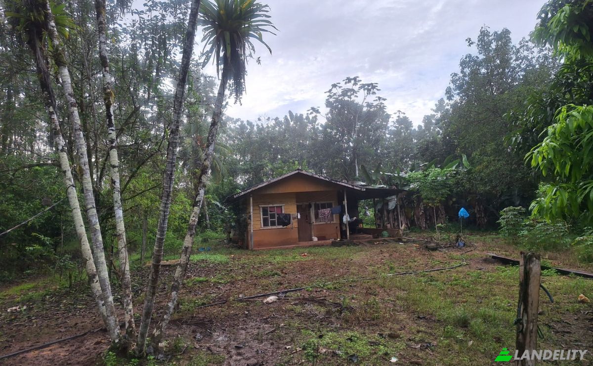 Investing/Development for Sale Pocosol, Provincia de Alajuela, San Carlos, Alajuela Province, Costa Rica. Photo 8