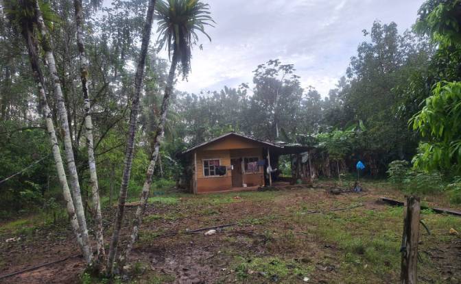 Investing/Development for Sale Pocosol. Photo#8 Investing/Development for Sale Pocosol. Photo#8