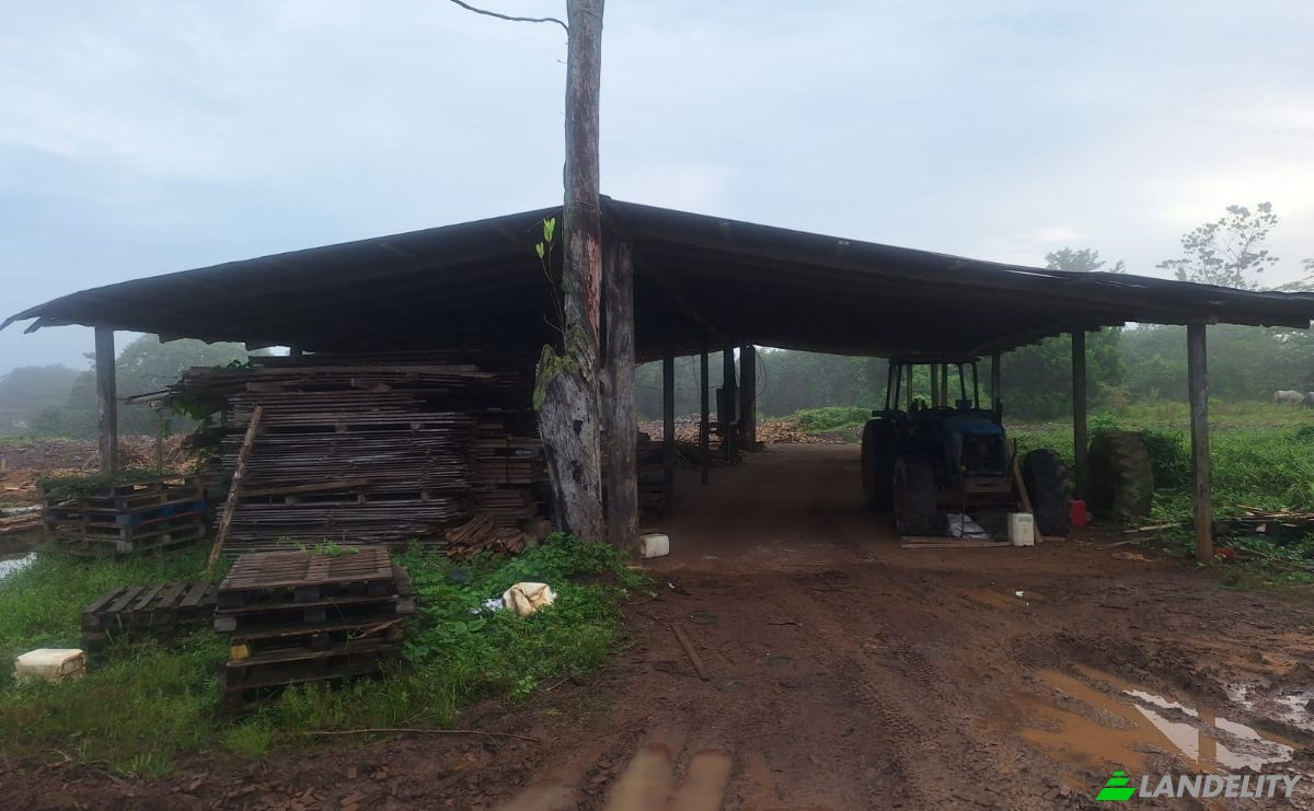 Investing/Development for Sale Pocosol, Provincia de Alajuela, San Carlos, Alajuela Province, Costa Rica. Photo 9