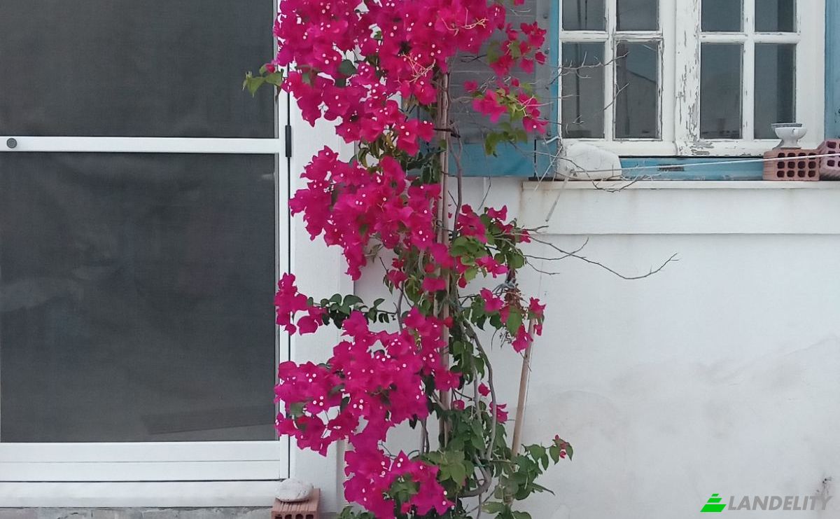 Investing/Development for Sale EparOd Parikias-Piso Livadiou, Marmara 844 00, Marmara, Southern Aegean, Decentralized Administration of the Aegean, Greece. Photo 9