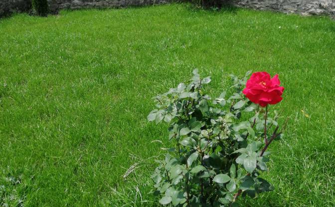 Eengezinswoning Te koop Tsentar, I 2. Foto#8