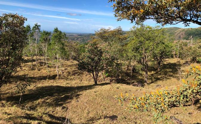 Inversión/Desarrollo en venta Alto Boquete. Foto#13
