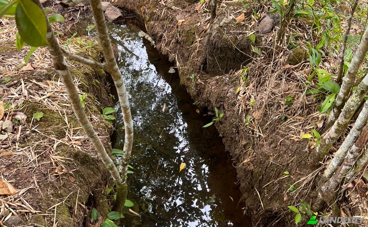 Inversión/Desarrollo en venta Alto Boquete, Boquete, Provincia de Chiriquí, Panamá. Foto 2