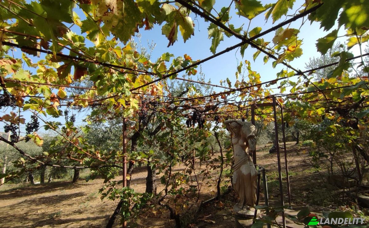 Villa for Sale Contrada Conche, 75010 Miglionico MT, Miglionico, Province of Matera, Basilicata, Italy. Photo 6