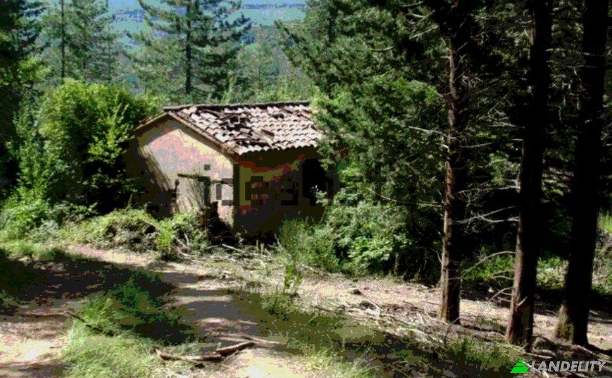 Granja/Rancho en venta Strada Senza Nome, 58037 Santa Fiora GR, Santa Fiora, Province of Grosseto, Tuscany, Italy. Foto 1