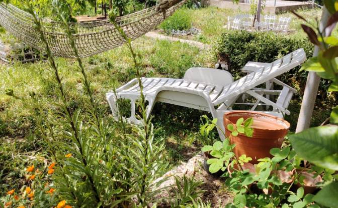 Einfamilienhaus zu verkaufen 6060 Oryahovitsa. Foto#8