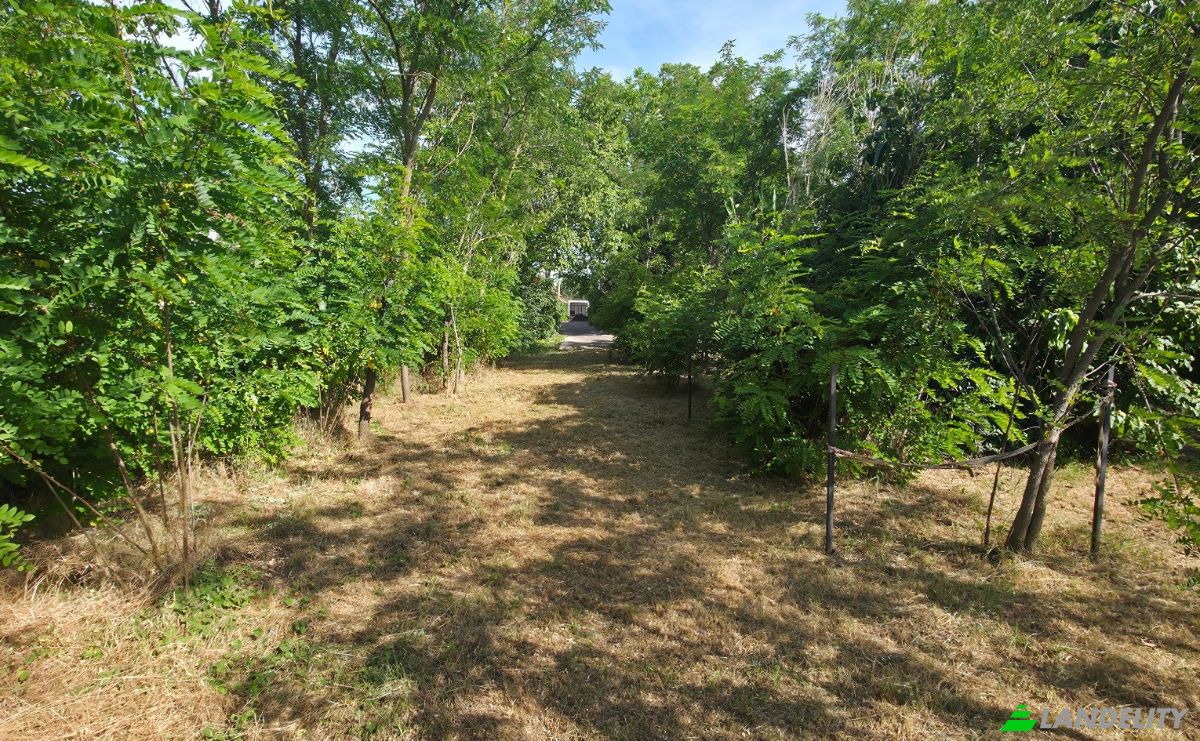 Eengezinswoning Te koop Fule, Szekesfehervar District, Fejer, Hungary, Vorosmarty u 26, 8157 Hungary. Foto 8