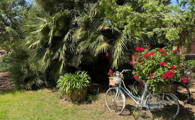 Posada/Hospedaje en venta Via del Bianco, 132. Foto#14