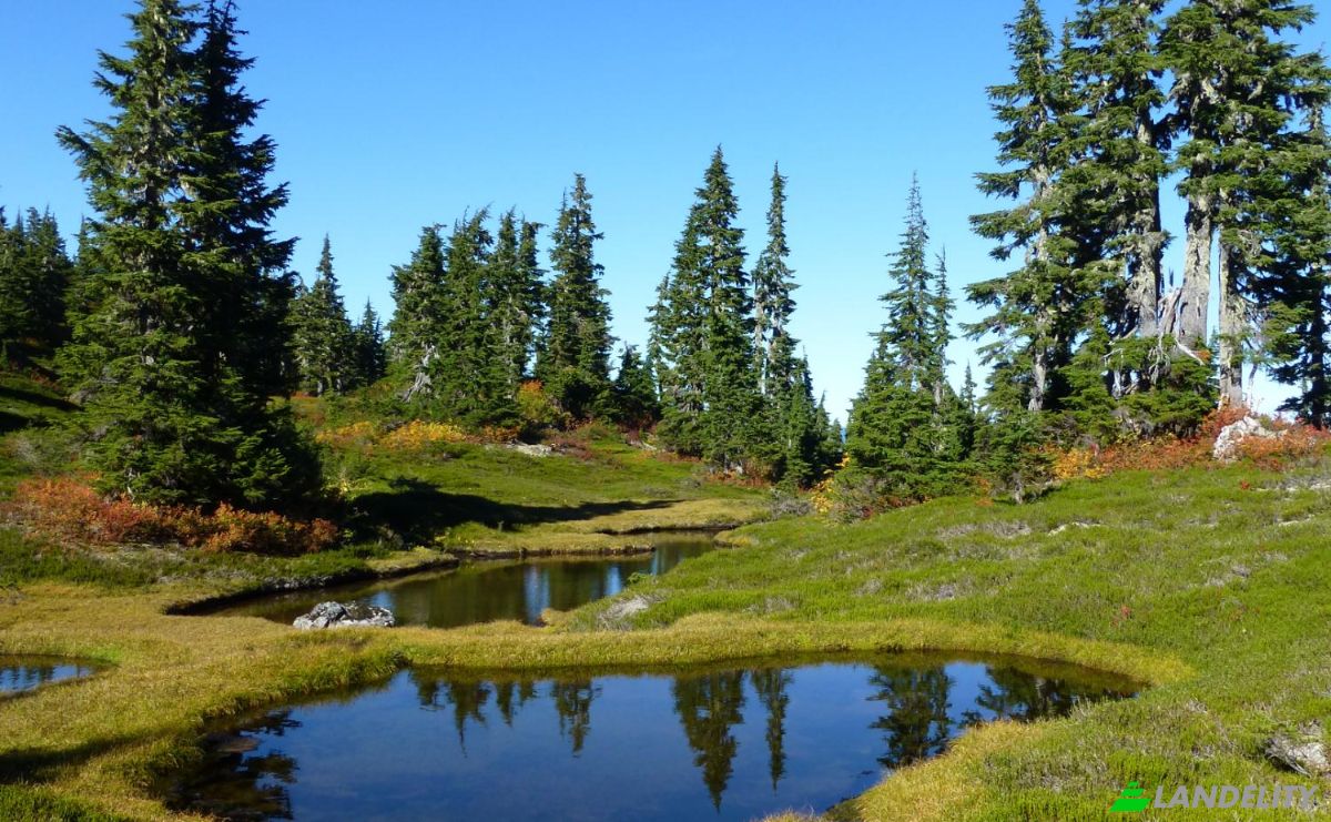 Działka na sprzedaż 3300 Forest Service Rd, Quesnel, BC V0L 1P0, 3300 Forest Service Road, Cariboo, British Columbia, Canada. Zdjęcie 2