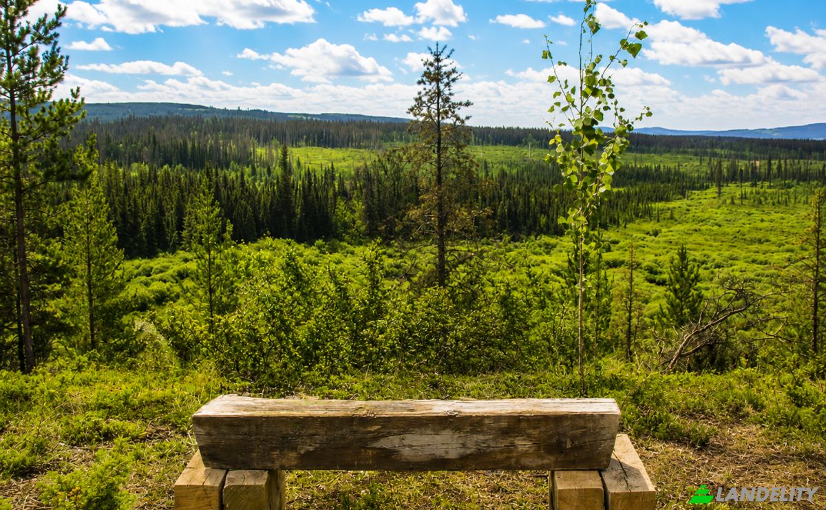 Działka na sprzedaż 3300 Forest Service Rd, Quesnel, BC V0L 1P0, 3300 Forest Service Road, Cariboo, British Columbia, Canada. Zdjęcie 4