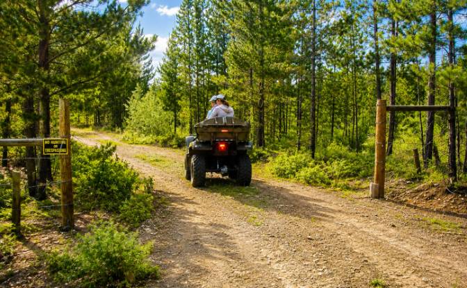 Działka na sprzedaż 3300 Forest Service Rd. Zdjęcie#5 Działka na sprzedaż 3300 Forest Service Rd. Zdjęcie#5