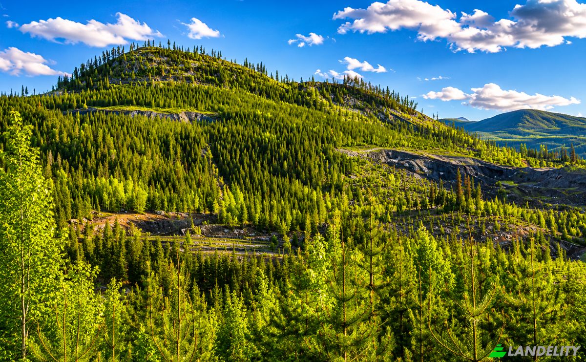 Działka na sprzedaż 3300 Forest Service Rd, Quesnel, BC V0L 1P0, 3300 Forest Service Road, Cariboo, British Columbia, Canada. Zdjęcie 6