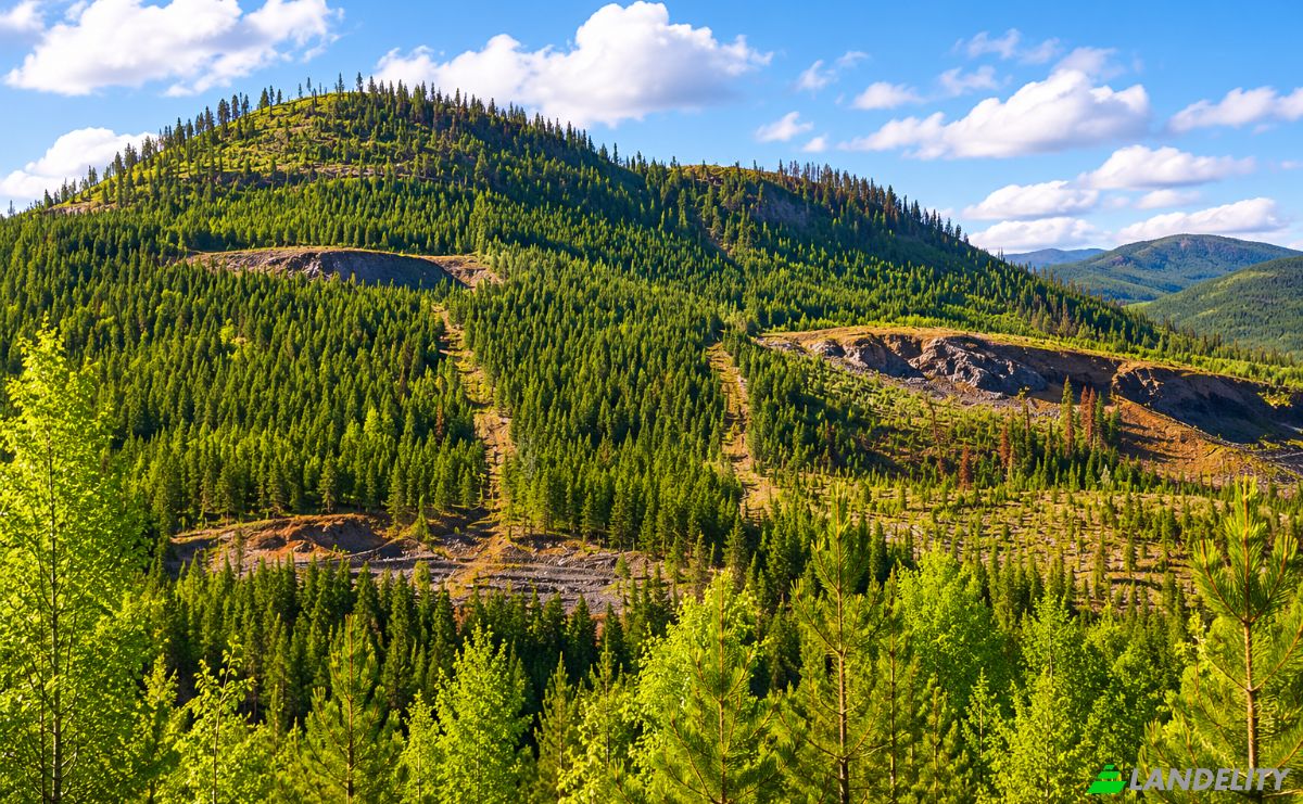 Działka na sprzedaż 3300 Forest Service Rd, Quesnel, BC V0L 1P0, 3300 Forest Service Road, Cariboo, British Columbia, Canada. Zdjęcie 7