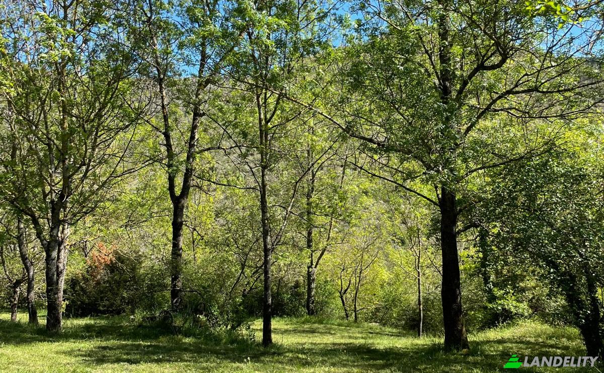 Investissement/Développement à vendre 5 Chem des Bergeries, 34650 Joncels, Joncels, Hérault, Occitanie, France. Photo 10